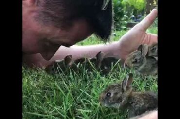 Man Plays with Group of Wild Baby Bunnies - 1045151-2