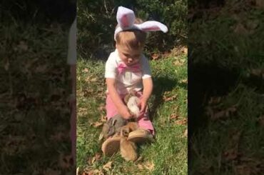 Little Boy Sings to Multiple Bunnies - 986341-3