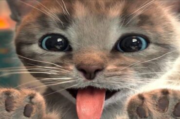 😹 New 2020! My Little Kitten Game - Children's Video Cute Cat Movie for Kids (live)