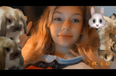 I GOT 2 BABY LOP BUNS!