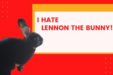 I HATE LENNON THE BUNNY!🐇🐰