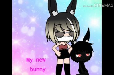 My cute new bunny