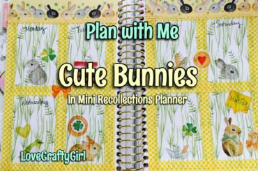 Plan with Me: Cute Bunny in Mini Recollections Planner