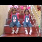 Twins - DeoFeo - Cute little bunnies singing rhymes