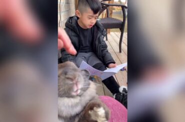 #Rabbit #Cocoandsnowy  | MASON STORY TELLING with COCO |