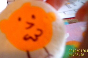 Cute easter chick and bunny rock