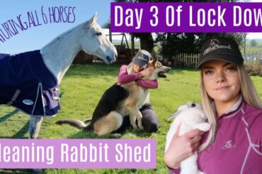 Grooming Kits, Riding & Cleaning The Rabbit Shed | Lock Down Day 3 | Barn Vlog