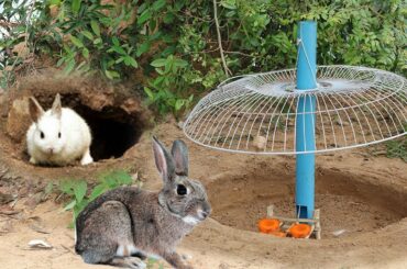 Fantastic ! Unique Rabbit Trap - Technique Rabbit  trap  Electric Fan   N Pipe