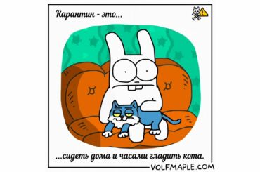 Rabbit Travel - Quarantine is... to pet your cat for hours