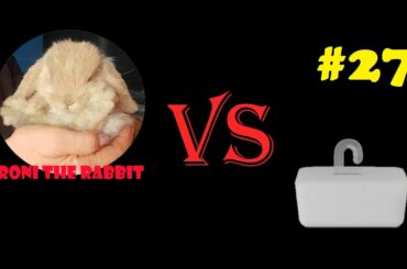 Cute Bunny's personal vendetta against his Chew Block | Roni The Rabbit | #27