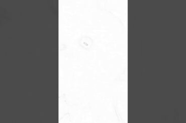 My pink cute bunny💎