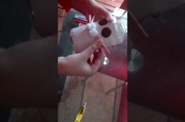 Cute bunny pencil holder