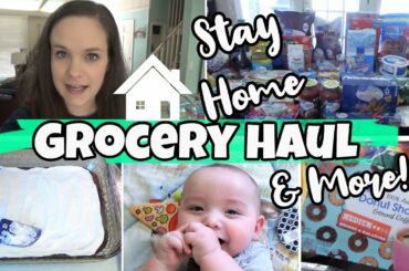 2020 WALMART GROCERY HAUL | SHELTER IN PLACE | BUNNY BROWNIES