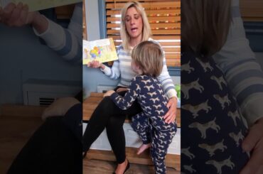 Baby Easter Bunny : Bernstein Bears