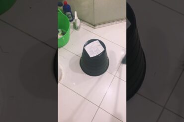 为什么兔宝要吃自己的屎？why rabbit eat their poo