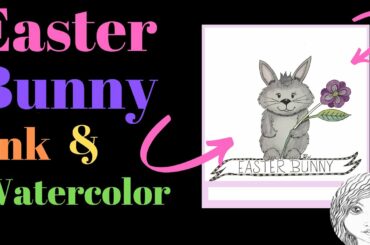 Animal Ink Drawing Cute Easter Bunny Watercolor Pencils