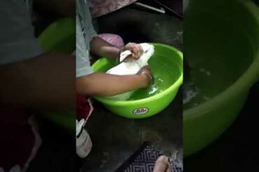 Cute bunny bath 🥰😍😘