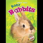 Super Cute Baby Rabbits by Bethany Olson