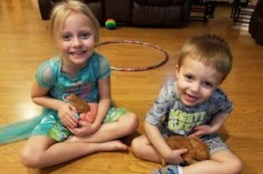 Playing with Baby Rabbits: Enjoying Quarantine