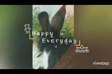 Honey my cute bunny🥰❤