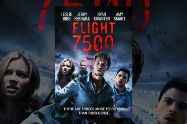 Flight 7500