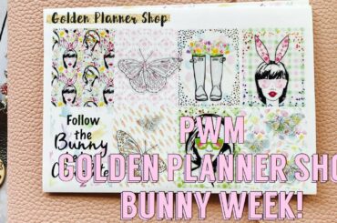 PWM with a cute bunny kit!