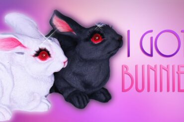 I Got 2 Bunnies! 🐇🌙 [ HEXIFIED ]