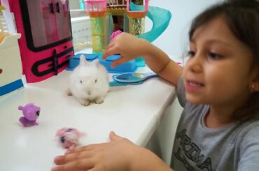 Rüya'nın Tavşanı Cute Baby Rabbits - Funny Bunny Baby Videos