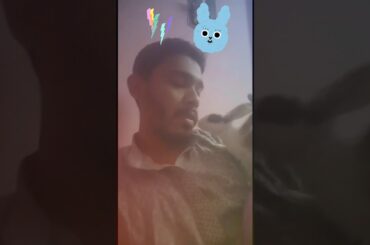 Cute bunny tries to kiss her dad