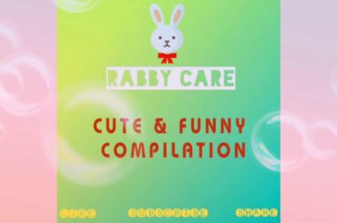 #cuterabbit#funnycompilation#
