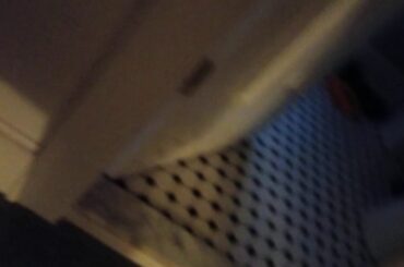 Showing YOU GUYS MY CUTE RABBIT