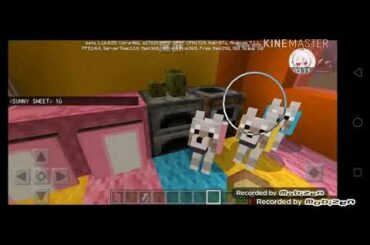 Giới thiệu nhà của mình và chị gái mình Bunny cute