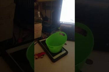 Heart listen cute bunny