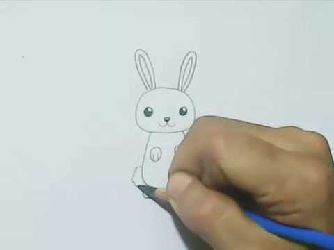 How to Draw a Cartoon Rabbit  (Cute Style)