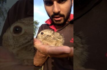 Stay Home | M_k_writer_ | rabbit🐇 child | cute child