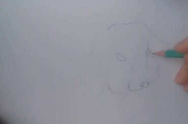 cute bunny drawing  of amateurs for amateurs (made by tns)