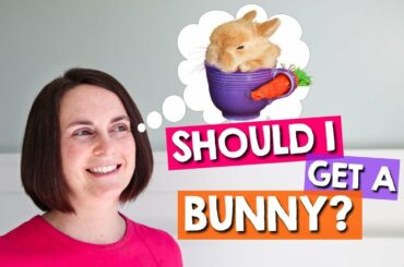 Watch BEFORE Getting a Pet Rabbit!  **Complete Guide**