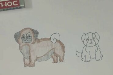 How to draw a cute dogs |Funny and Bunny|