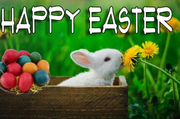 Happy Easter Music with Cute Bunny, Rabbit and Hare Pictures. Joyful Music for the Holiday.