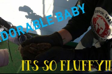 SAVING an ADORABLE BABY BUNNY!!!