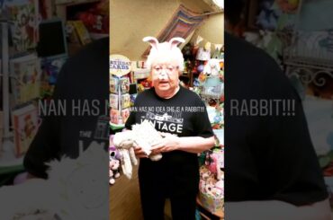 Ms Nan is a cute bunny!