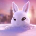 Bunny is here!! cute animal video for kids animal lovers