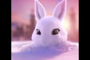 Bunny is here!! cute animal video for kids animal lovers