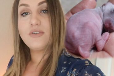 Best Birthday Gift Ever..8 Baby Bunnies!