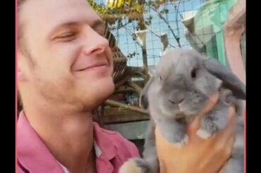 cute bunny Free Table Manner Lesson From The Cutest rabbit in the world