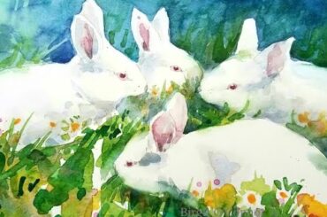 How to paint little white Bunnies, watercolor for beginners