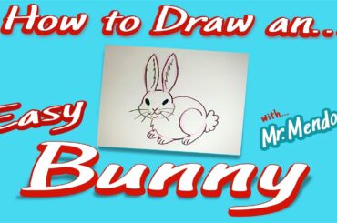 How to Draw a Cute Bunny, a Step by Step Lesson