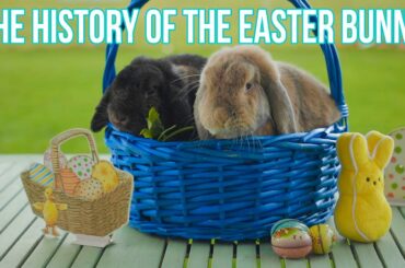 The history of the Easter bunny
