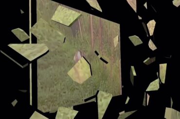 Bonbon the bunny( looking for food.. playing/jumping at the backyard