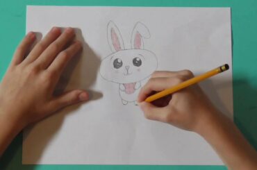 How to draw a cute bunny rabbit